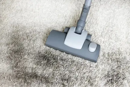 Carpet Cleaning in Officer
